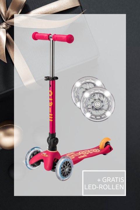 Mini Micro Deluxe Foldable