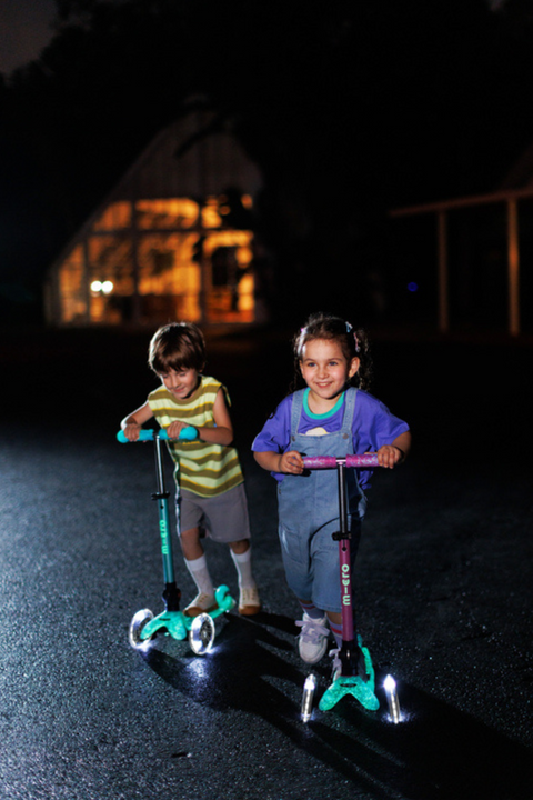 Mini Micro Deluxe Foldable Orion LED